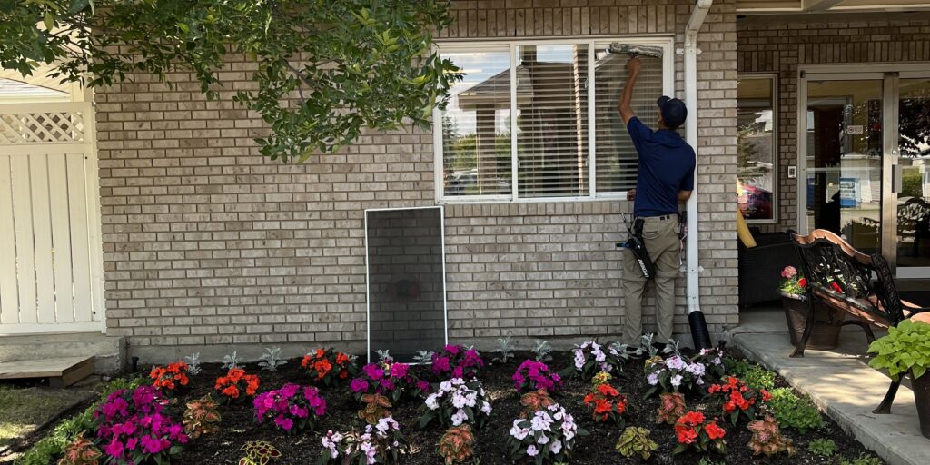 The Importance of Regular Window Cleaning for Your Home's Curb Appeal