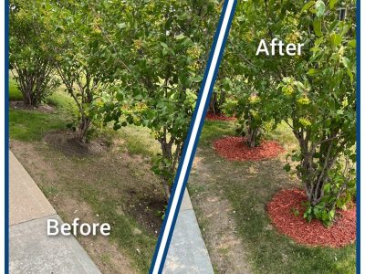Before and After 4