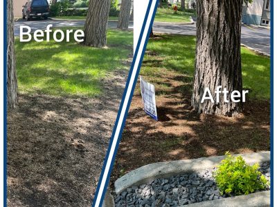 Before and After 5